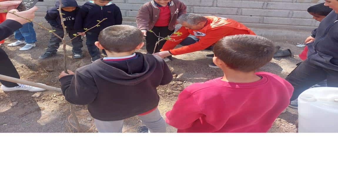 YEŞİL VATANI KORUYORUM